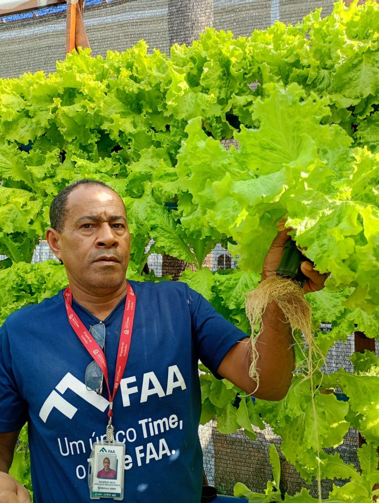 Hortas Inteligentes FAA: a união entre ciência e sustentabilidade